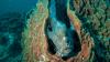 Frogfish Foto. MiD